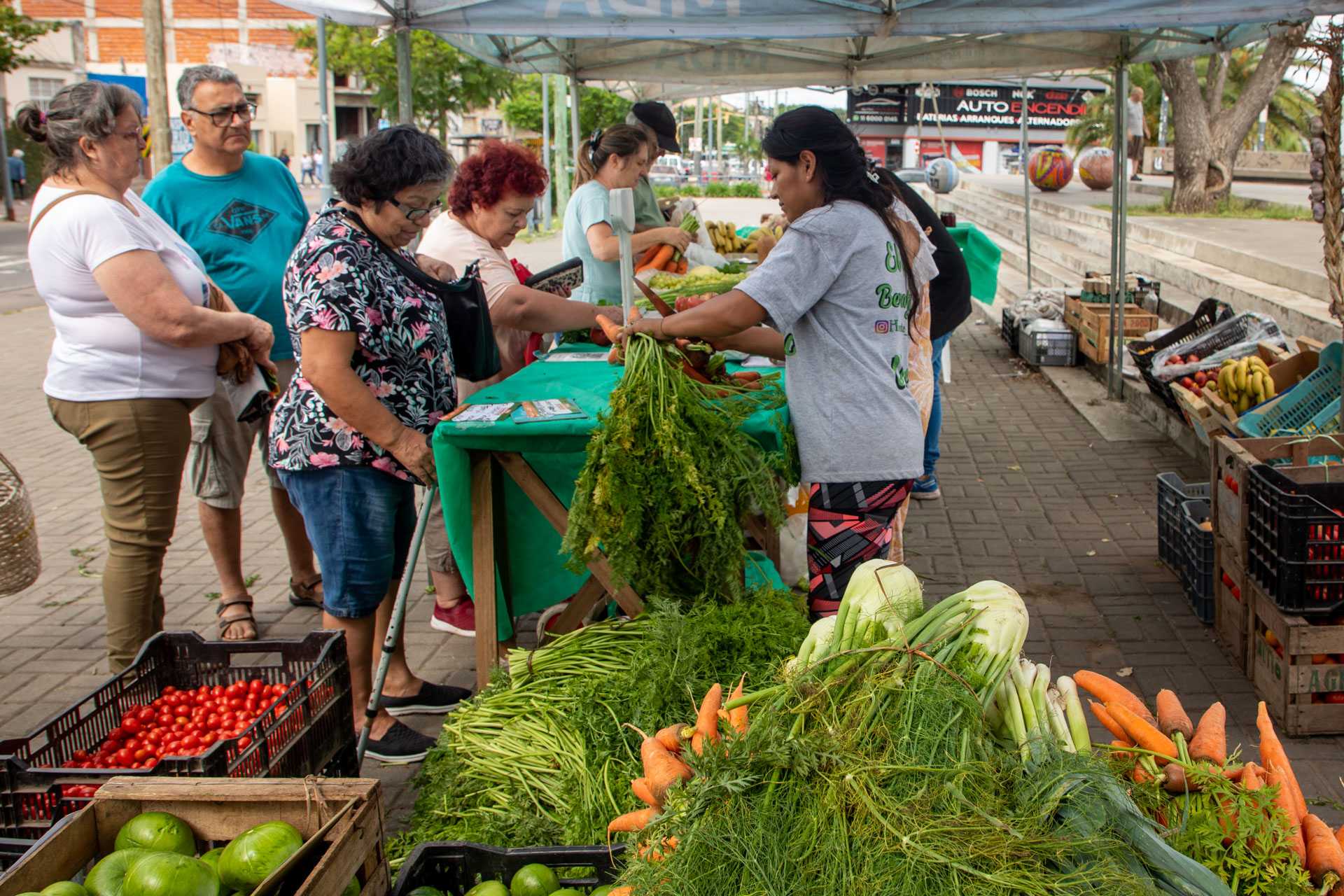 Cada vez más vecinos compran en la Feria Agroecológica