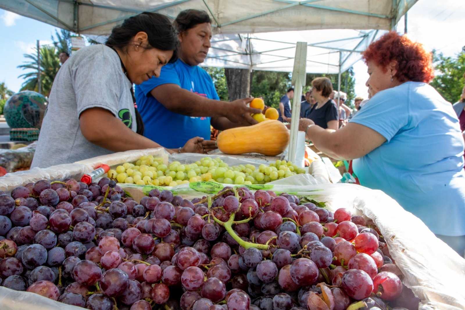 Feria Agroecológica de Berazategui: Ideal para cuidar el bolsillo