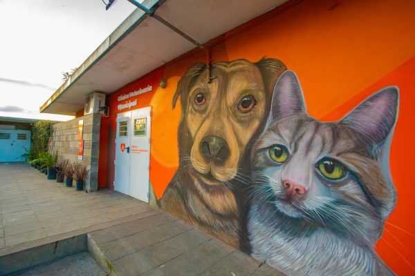 La Clínica Veterinaria Municipal de Berazategui cumplió 11 años