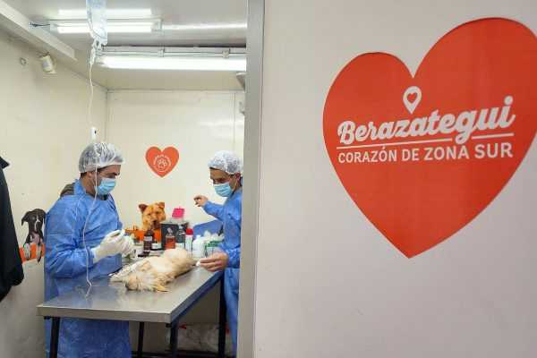 Más Jornadas Municipales de Salud Animal en Junio