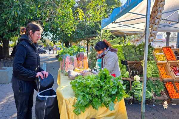 Mercado Vecino: La Feria Municipal que recorre los barrios
