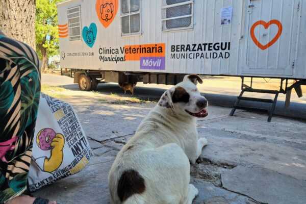 Más Jornadas Municipales de Salud Animal