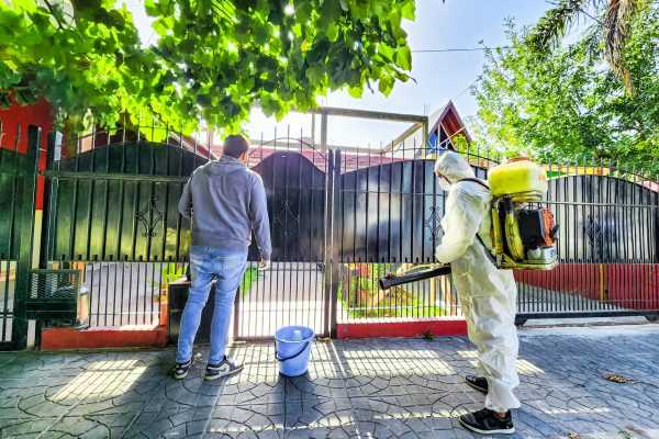 Pautas de alarma para detectar los síntomas del dengue