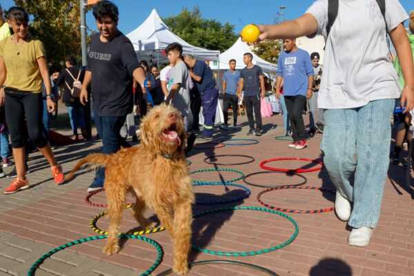Festejo por el Día del Animal y Cumpleaños de la Veterinaria Municipal
