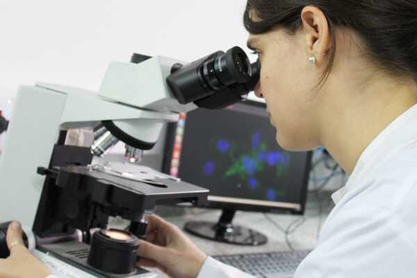 Ciencia y Tecnología: la Provincia impulsa redes federales de investigación con Universidades