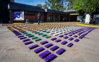 El Gobierno provincial quemó casi 1.500 kilos de droga
