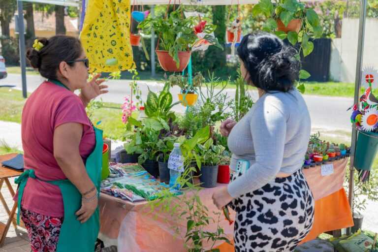 Mercado Vecino todos los sábados en El Pato