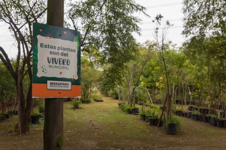 El Vivero Municipal continúa embelleciendo los espacios públicos de Berazategui