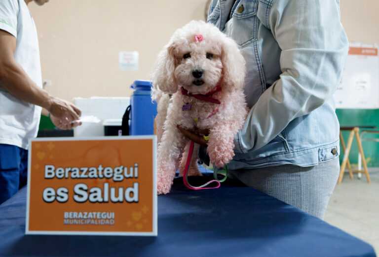 Siguen las jornadas municipales de salud animal en Berazategui